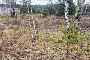 участок по адресу с. Блиставица, Кленова