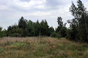 участок по адресу с. Дружня, Богдана Хмельницького, 38