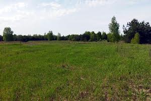 участок по адресу с. Дружня, Андріївська, 9