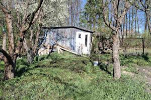 участок по адресу с. Романков, 