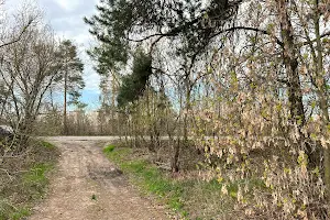 участок по адресу пгт. Гостомель, 