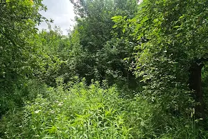 участок по адресу 22-га Садова