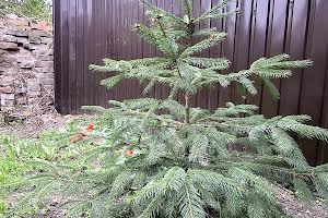квартира по адресу Большая Панасовская ул. (Котлова), 66