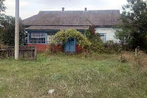 будинок за адресою с. Строкова, Шкільна, 19