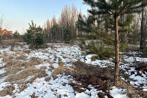 участок по адресу Васильківська, 22