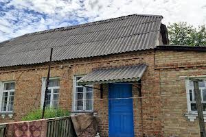 будинок за адресою с. Софіївська борщагівка, Шевченка вул.