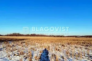 ділянка за адресою с. Копилів, 