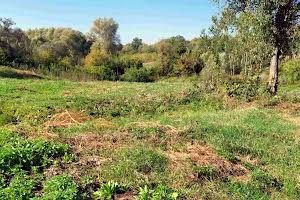 участок по адресу с. Тростинка, Київська