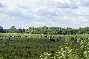 участок по адресу с. Горенка, 