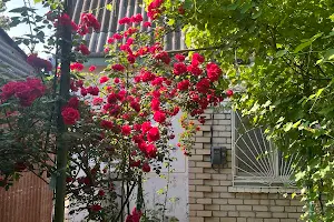 дом по адресу Центральна