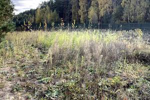 участок по адресу Мичурина, 8
