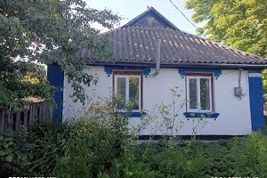 будинок за адресою с. Антонівка, Лесі Українки