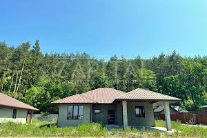 будинок за адресою Бориспільський