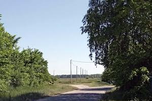 ділянка за адресою с. Шевченкове, 