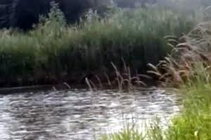 участок по адресу с. Кременище, 