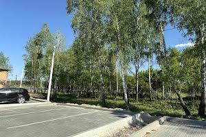 ділянка за адресою Ірпінь, Федора Кричевського, 25б