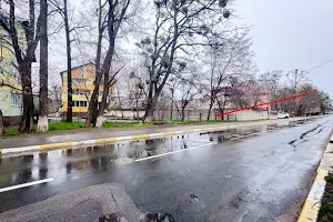 участок по адресу Буча, Тарасовская ул.