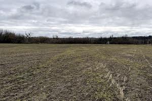 участок по адресу с. Щербановка, Корольова