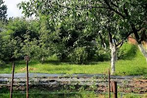 участок по адресу с. Новоселки, 