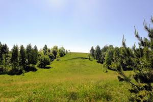 ділянка за адресою с. Креничі, 