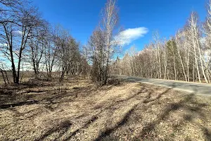 ділянка за адресою смт. Гостомель, 