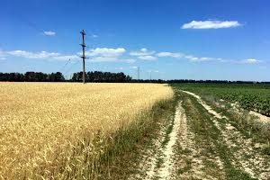 ділянка за адресою с. Наливайківка, 
