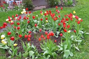 будинок за адресою Армійська вул.
