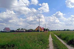 ділянка за адресою с. Гаврилівка, Шевченко