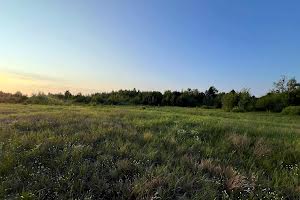 ділянка за адресою с. Дружня, Вербова вул.
