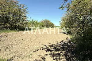 ділянка за адресою с. Чубинське, Блізніченка вул., 36
