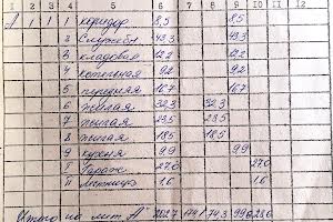 будинок за адресою Фастів, Кадлубиця р-н