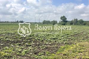 участок по адресу с. Перемога, Старокиївська, 103