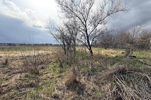 участок по адресу с. Михайловка-Рубежовка, Ворошилова