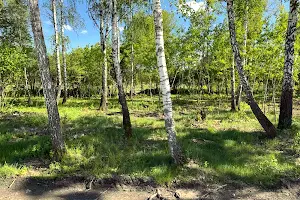 участок по адресу Кричевського, 25б
