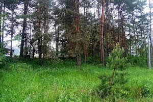 участок по адресу Мрія