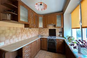 квартира за адресою Володимира Великого вул., 33