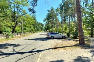 ділянка за адресою Антонія Михайловського вул.