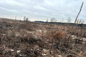 ділянка за адресою с. Михайлівка-Рубежівка, Наталії Ужвіст, 42