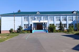 участок по адресу с. Пилиповичи, Шевченка