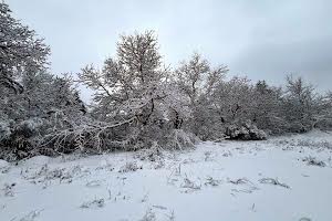 участок по адресу Незалежности