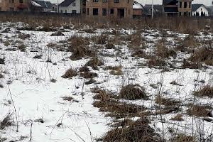 ділянка за адресою Урочище Левада