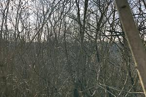 ділянка за адресою Чумацький шлях вул.