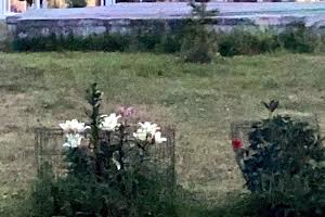 будинок за адресою смт. Ворзель, Котляревського