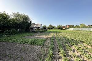 ділянка за адресою с. Софіївська борщагівка, Шевченка вул., 33