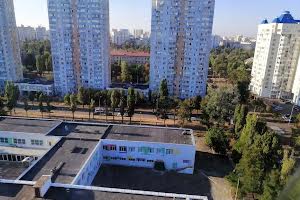 комерційна за адресою Олександра Лазаревського вул. (Мініна), 9