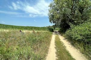 участок по адресу с. Заборье, 