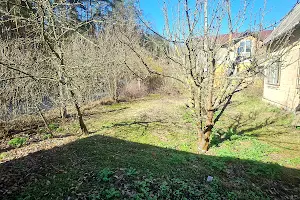 дом по адресу с. Стоянка, Лісна