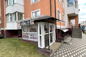 комерційна за адресою Бориса Гмирі вул., 10
