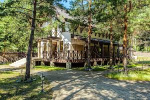 будинок за адресою с. Дмитрівка, Дмитрівка