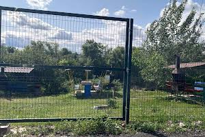 дом по адресу с. Свитанок, 9-та